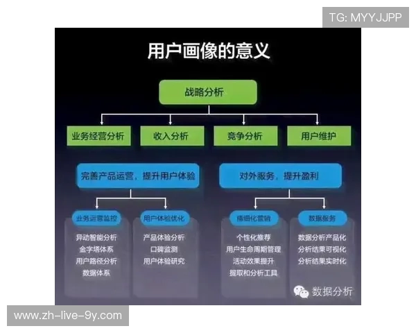 南京极限运动队的区域防守策略揭秘与深度分析