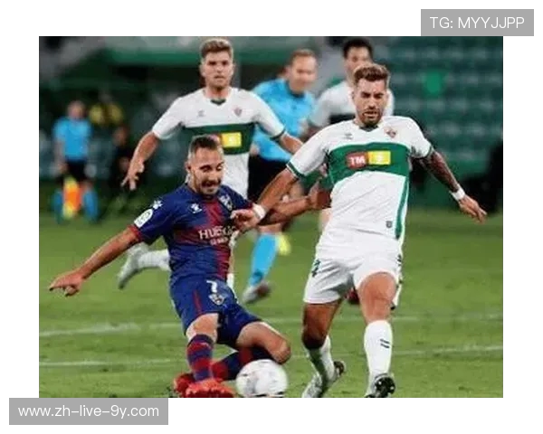 和平精英战术解析JDG战队防守体系的核心策略与执行细节