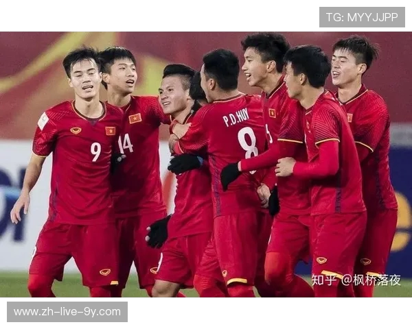 成都排球队包夹战术创新引领新潮流助力球队崛起